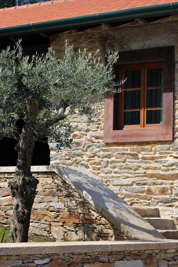 Bed and Breakfast O Casario Mirandela Exterior foto