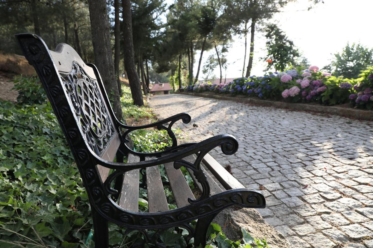 Bed and Breakfast O Casario Mirandela Exterior foto